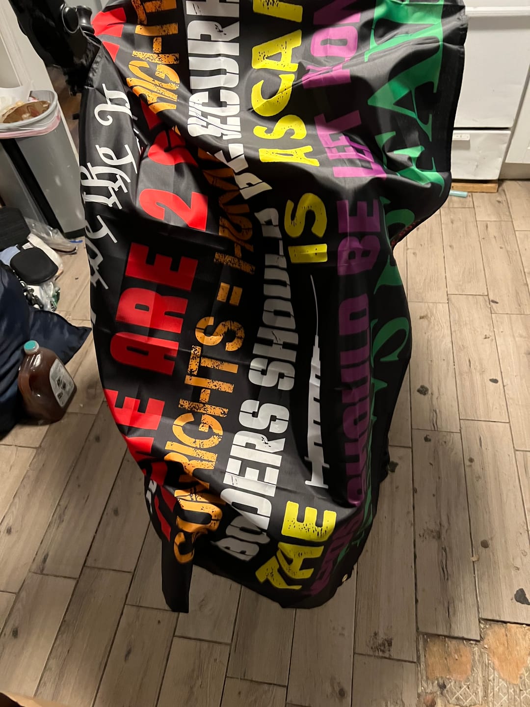 Customer photo review of We The People 1776 Flag