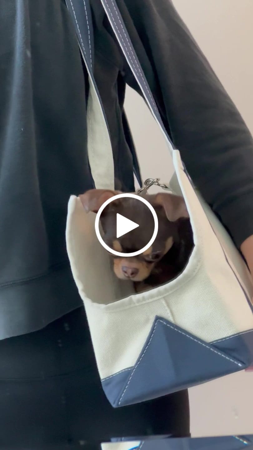 Customer video review of Boat Canvas Carrier - Classic