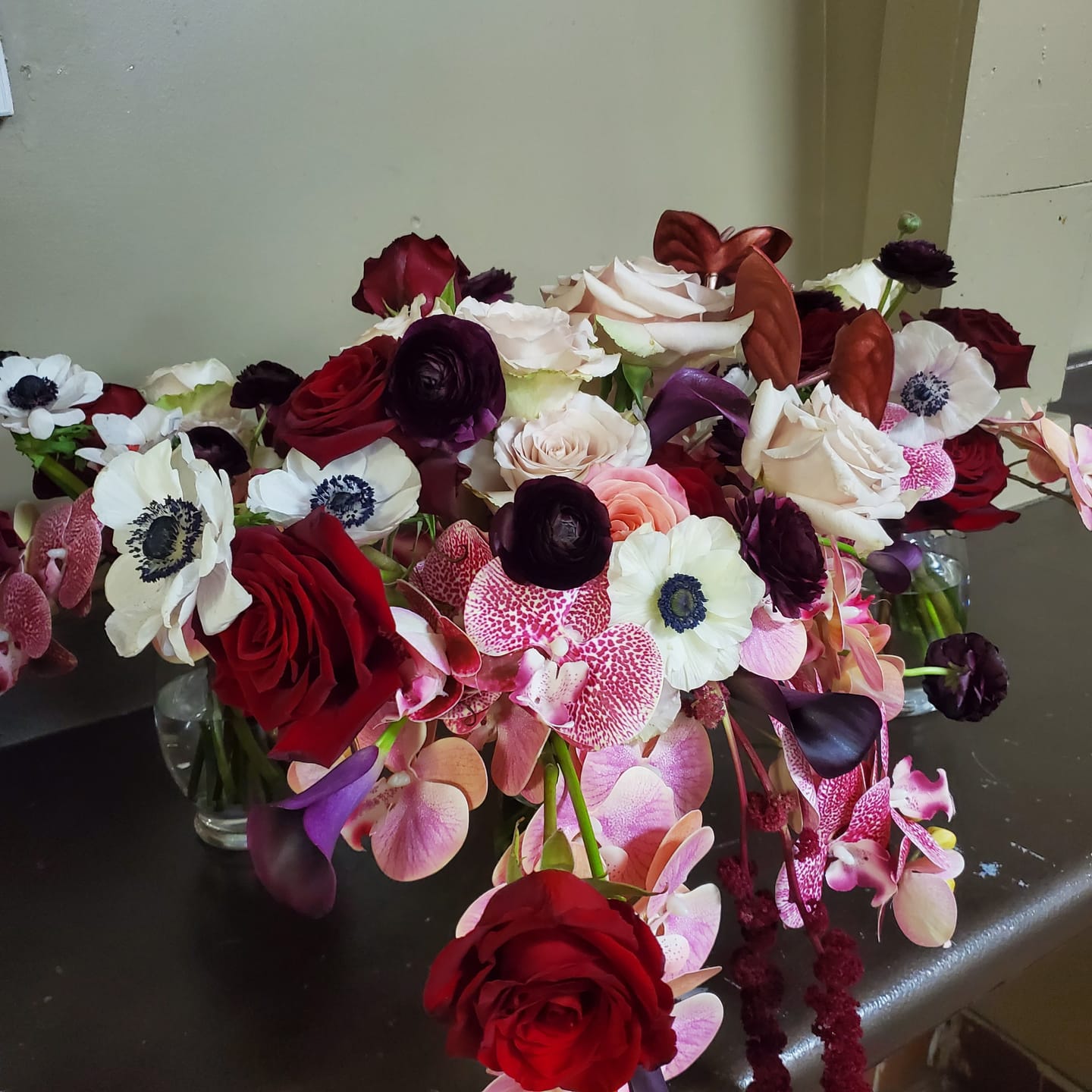 Customer photo review of White and Black Anemone