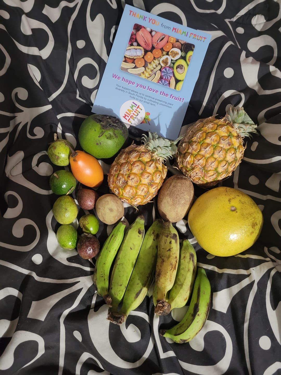 Customer photo review of Leftovers Box