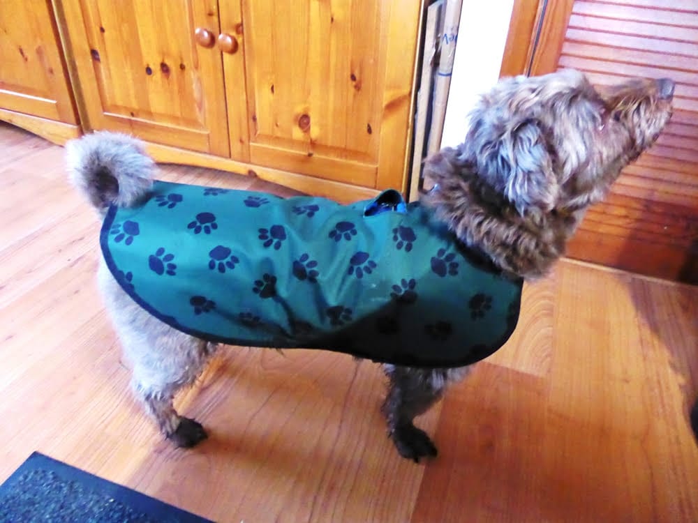 Customer photo review of Paw Print Heavy Duty Waterproof Fabric