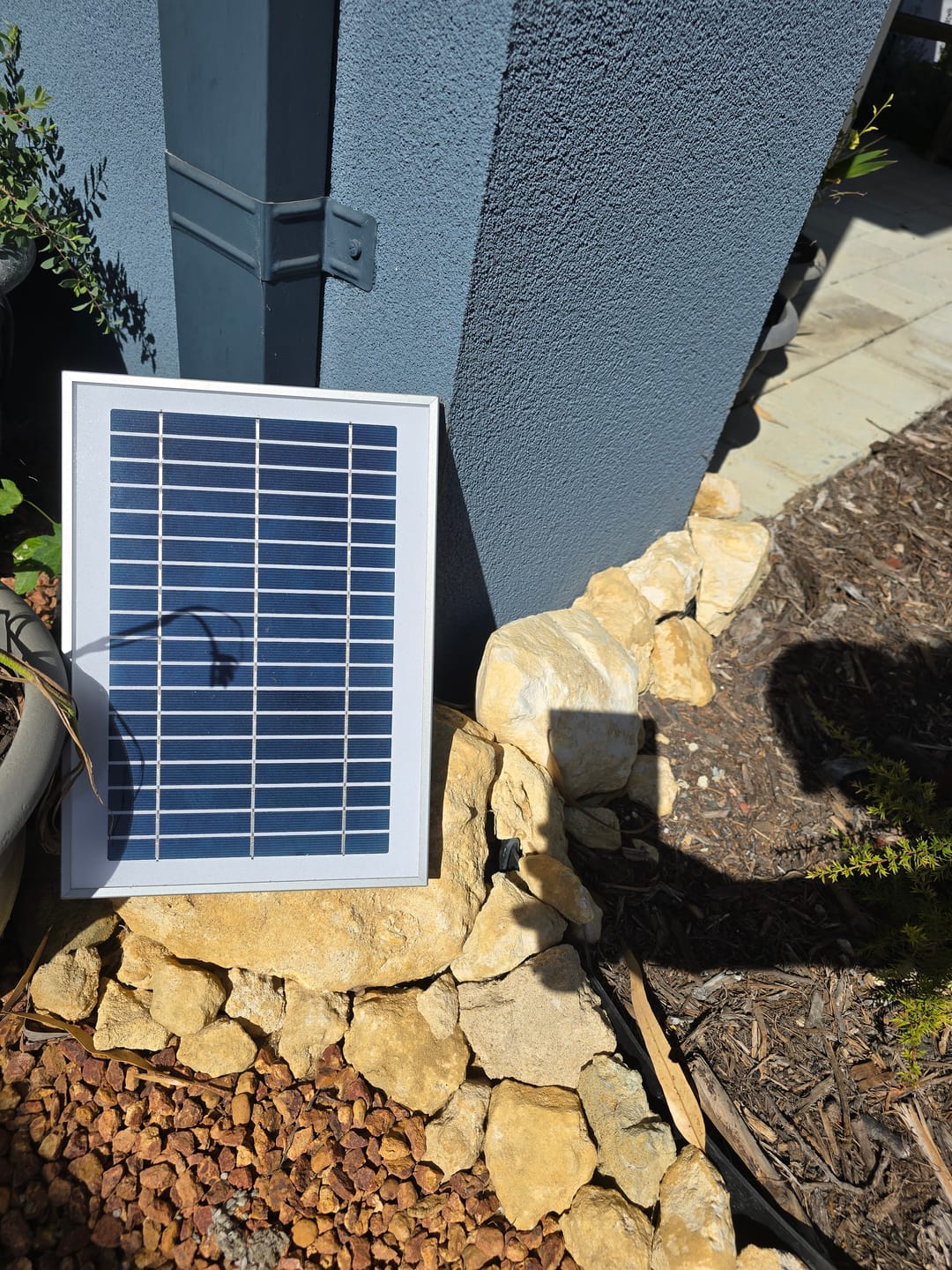 Customer photo review of Solar Fountain Pump & Panel w/ Inbuilt Battery - 250LPH
