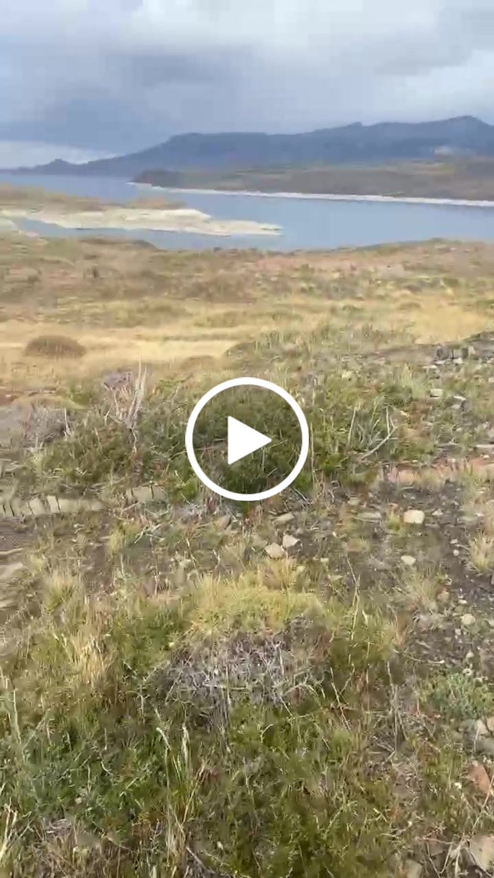 Customer video review of Sandalia Hombre Hamal Hiking 38Q9957