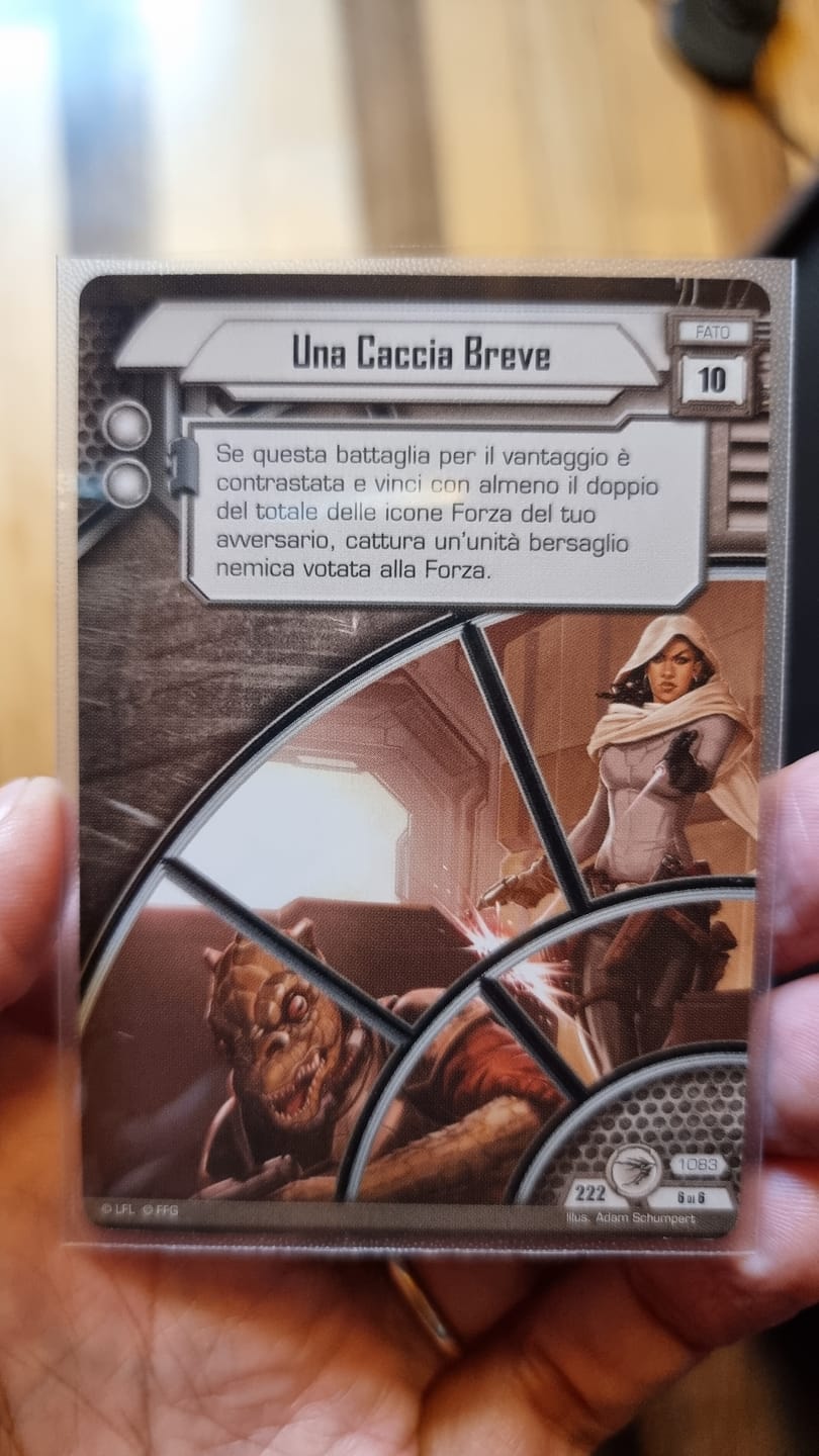 Customer photo review of Clear Matte Standard Size Card Sleeves