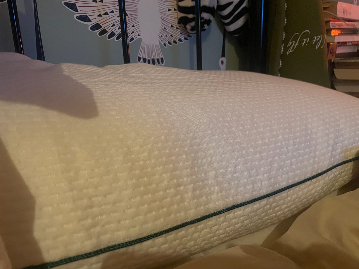 Customer photo review of Martian Dreams Pillow Protectors - 2 Pack