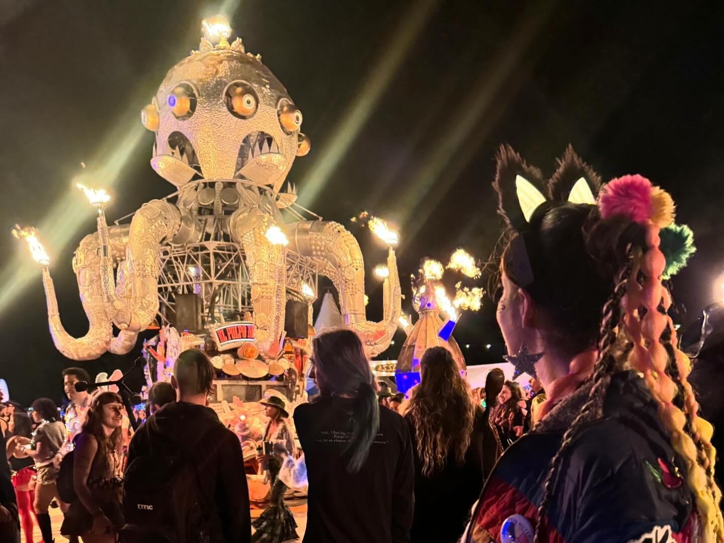 Customer photo review of LED Infinity Mirror Cat Ears - Preorder