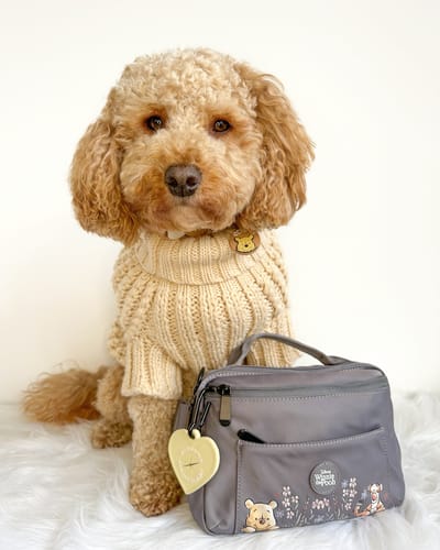 Customer photo review of All In One Bumbag - Winnie + Friends