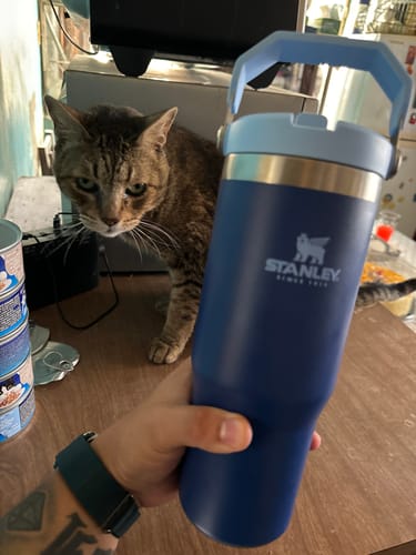 Customer photo review of Stanley IceFlow™ Flip Straw
