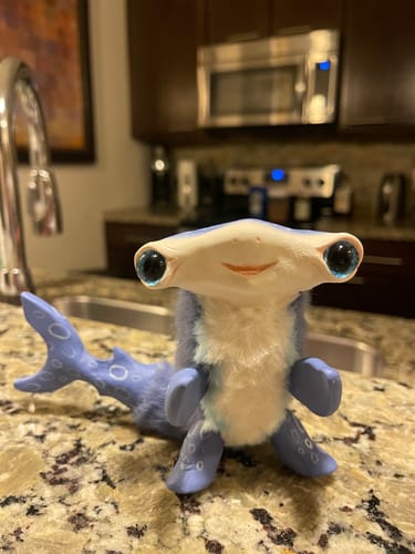 Customer photo review of Hammerhead sharkling