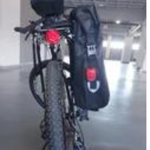 Customer photo review of Travel Trek Bag