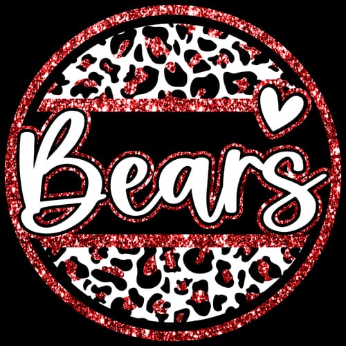 Customer photo review of Custom DTF Gang Sheet 22 x 108