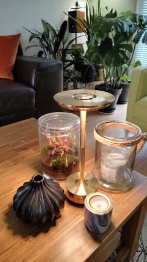 Customer photo review of Brilliance by Carl Franks™