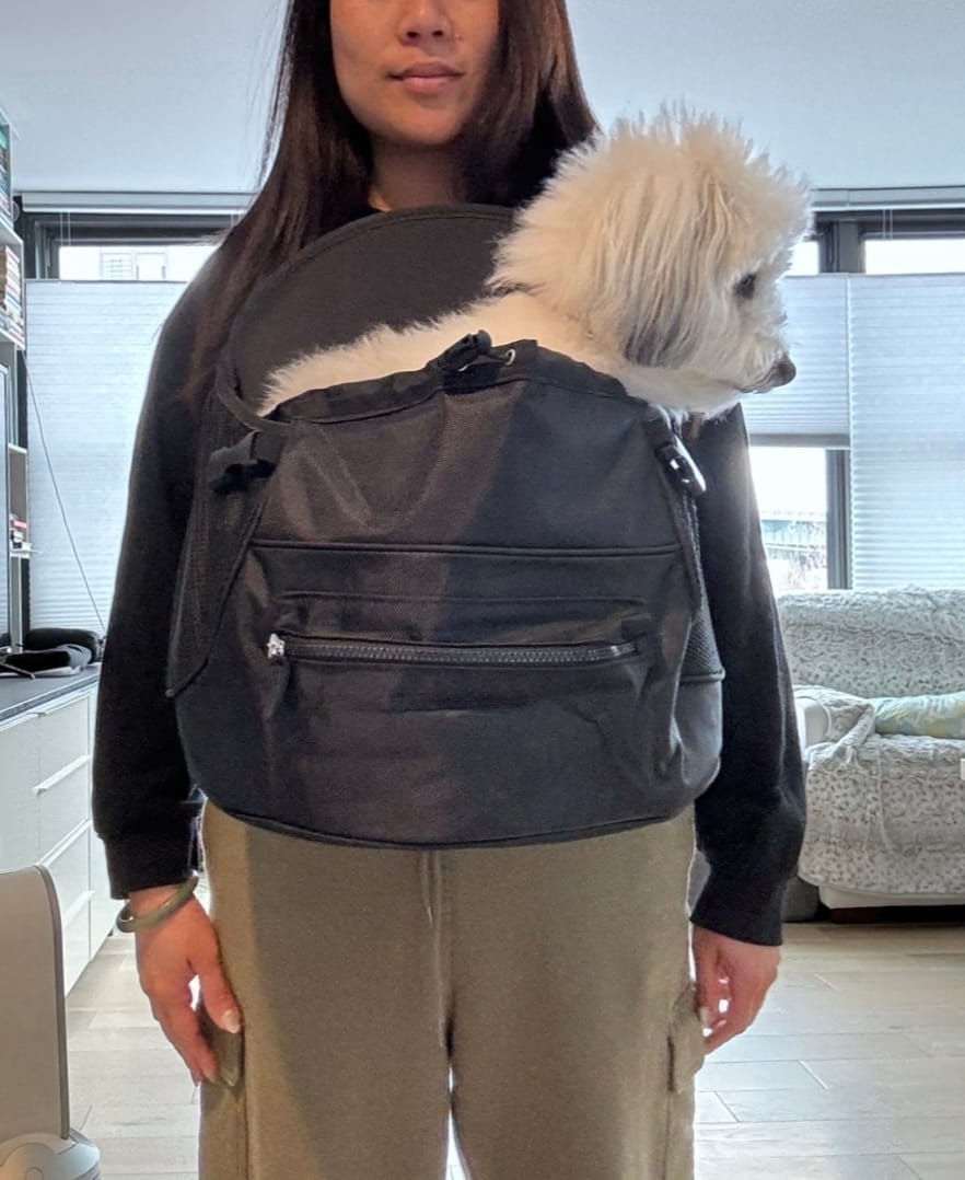 Customer photo review of Premium All-Black Pet Backpack