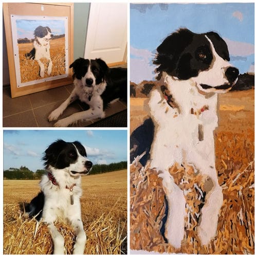 Customer photo review of Paint By Number eget billede med hurtig levering