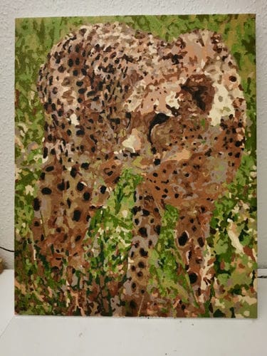 Customer photo review of Paint By Number eget billede med hurtig levering