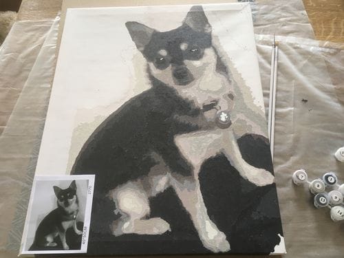 Customer photo review of Paint By Number eget billede med hurtig levering