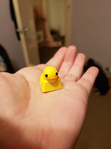 Customer photo review of Mystery Keycap | Costume Party