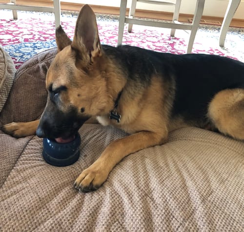 Customer photo review of Freezball - Durable Fillable Dog Chew Bone