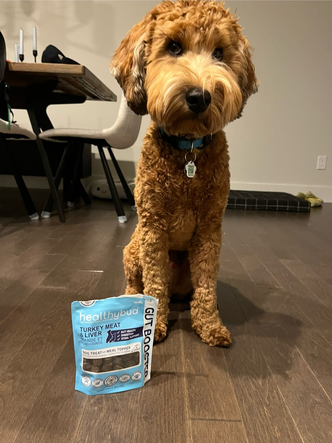 Customer photo review of Turkey Gut Booster