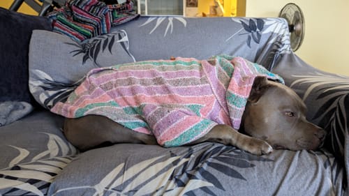 Customer photo review of Playa Poncho - Surprise Color