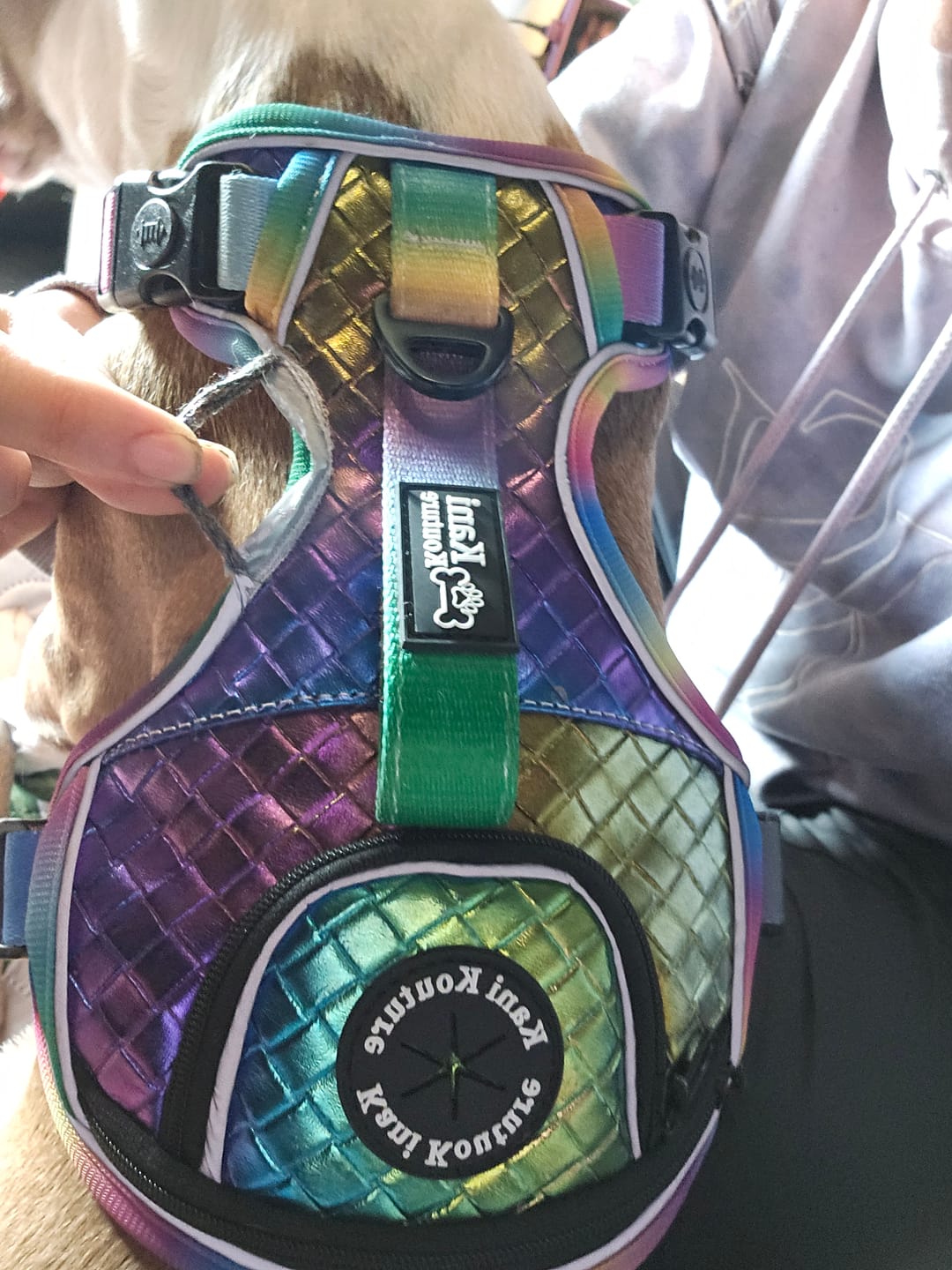 Customer photo review of Mystical Haze - Adventure Leather Harness