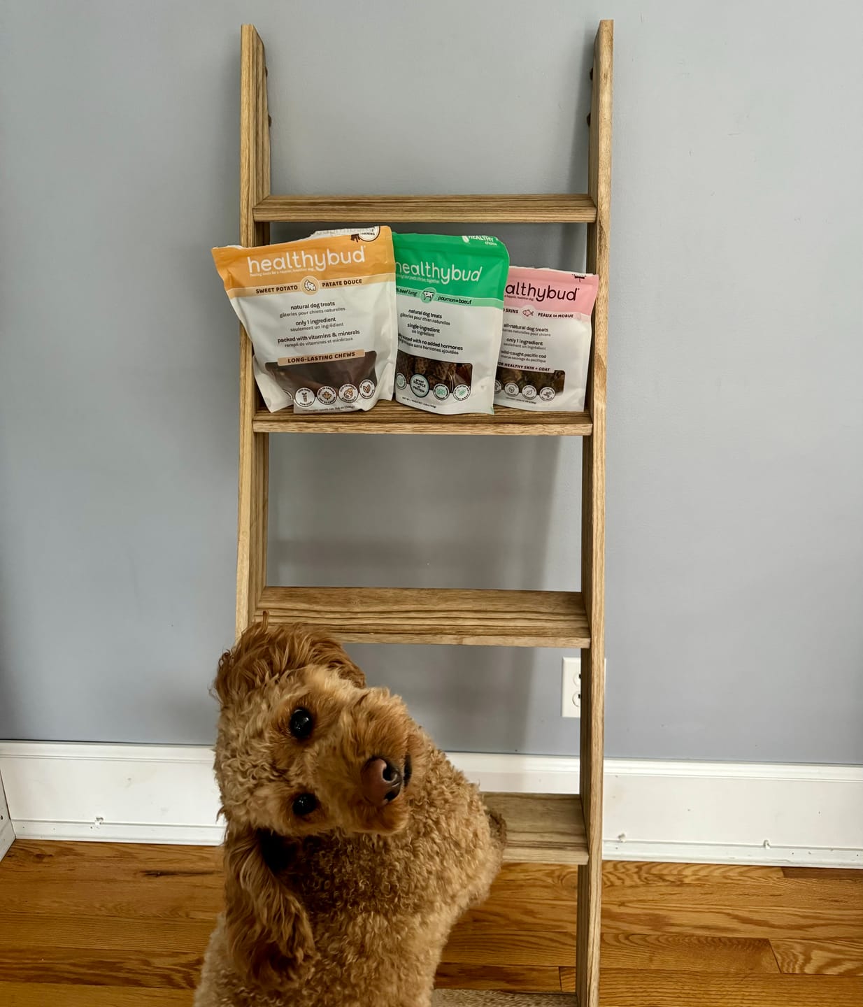 Customer photo review of Beef Lung Wafers
