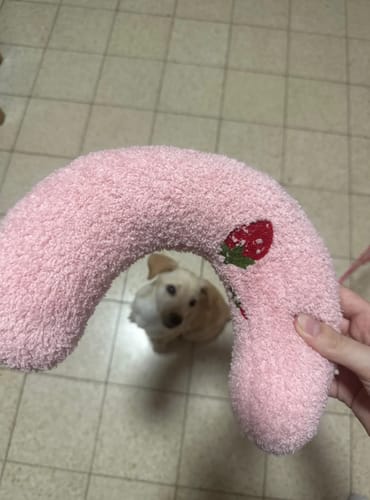 Customer photo review of PillowDream / Cat calming pillow