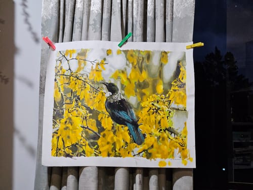 Customer photo review of Tui in Kowhai Tree