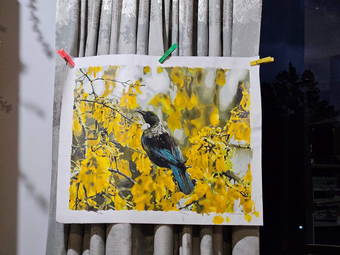 Customer photo review of Tui in Kowhai Tree