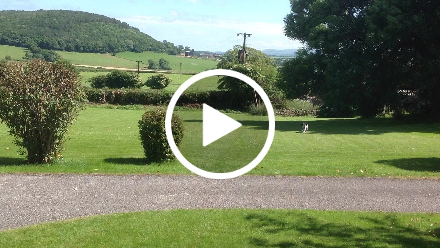 Customer video review of British Poultry Dry Food Senior/Lite