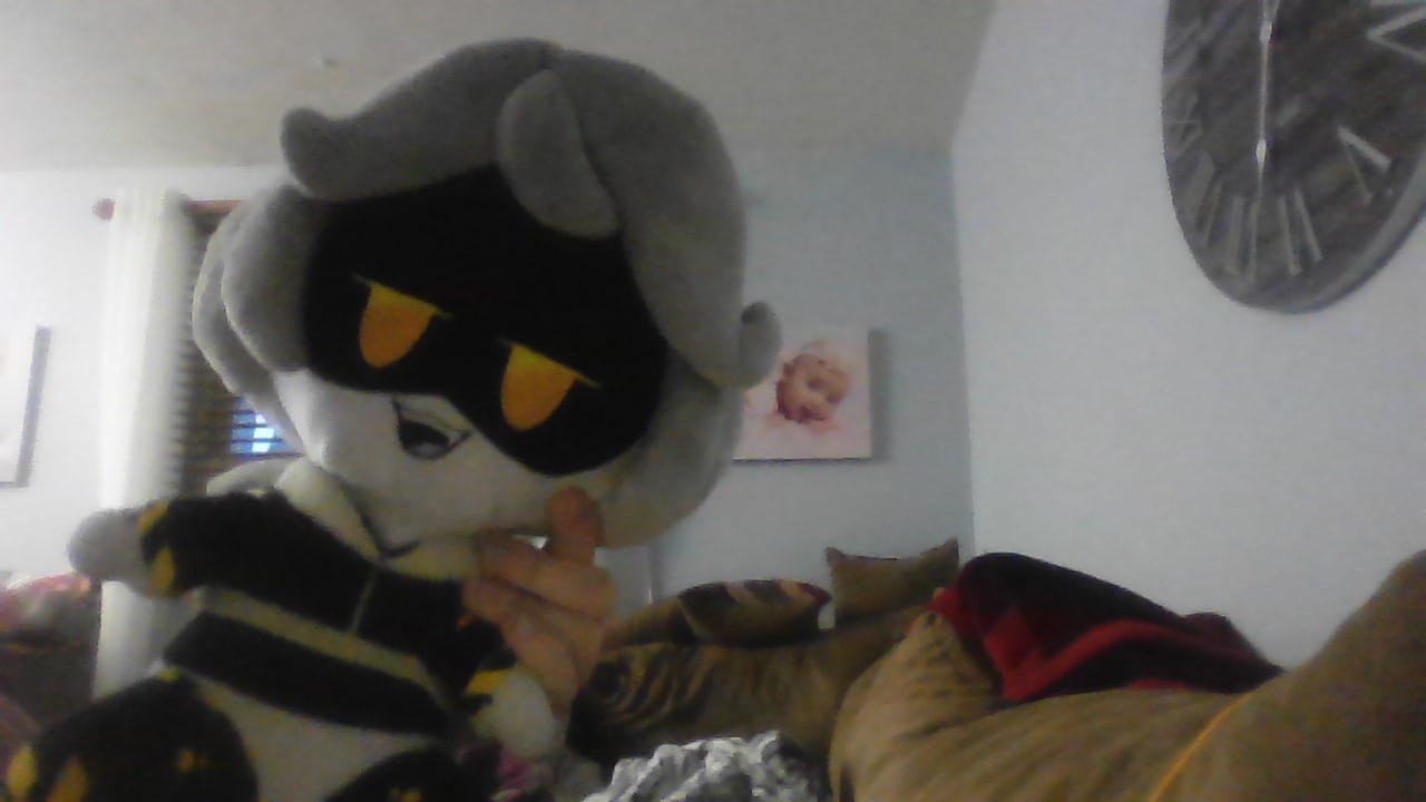 Customer photo review of V Plush