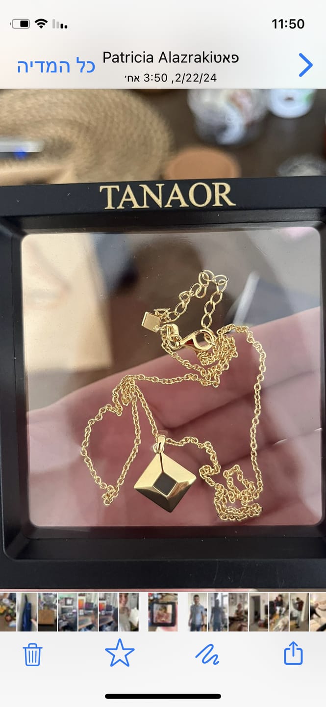 Customer photo review of TANAOR Classic Necklace