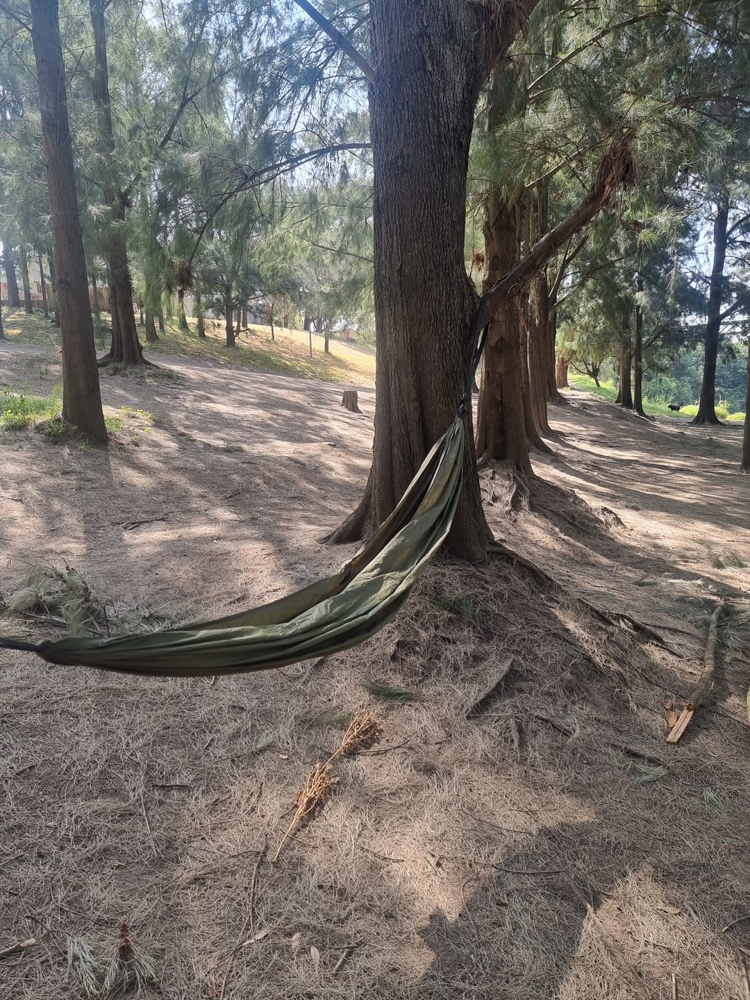 Customer photo review of Ultralight Hammock