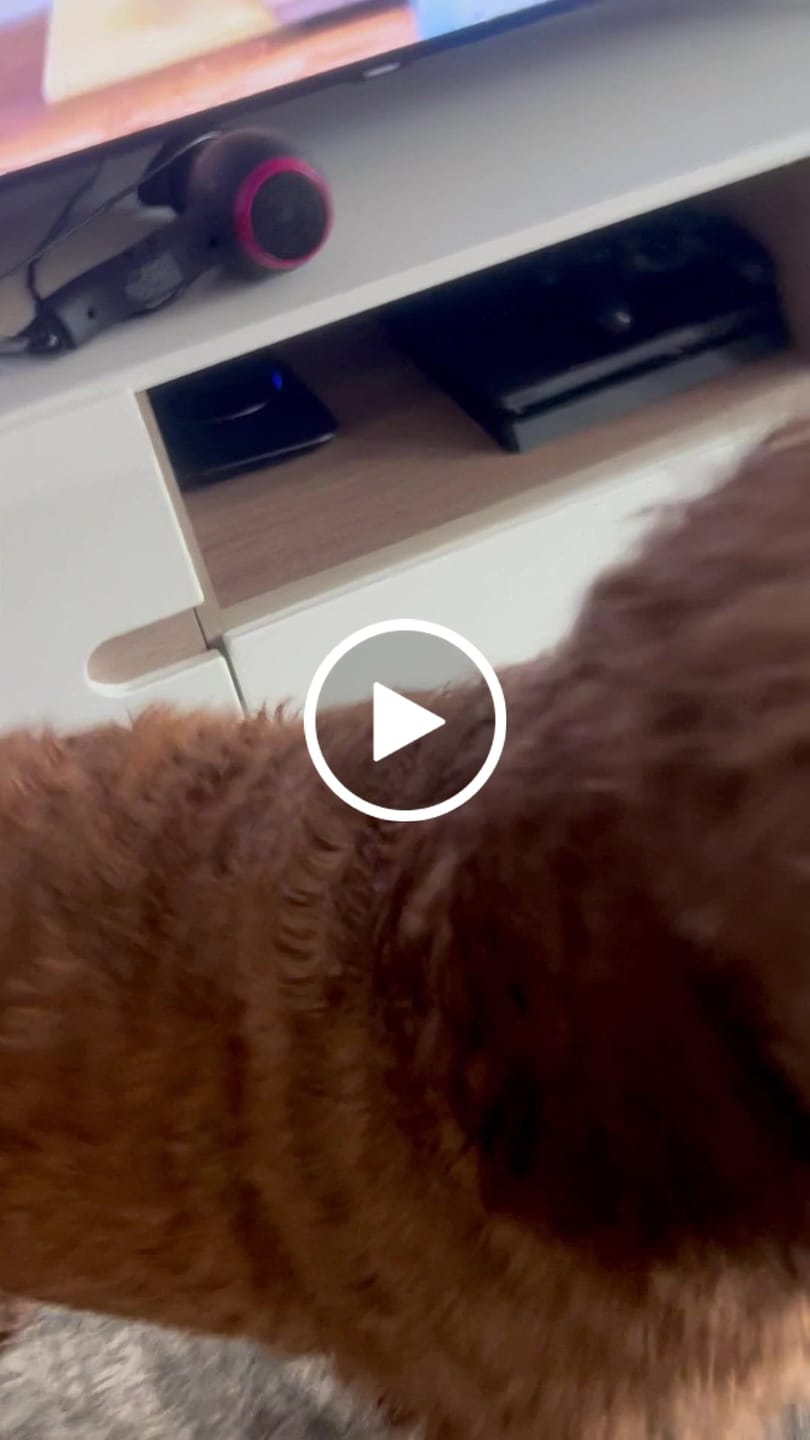 Customer video review of Luxury Dog Towel