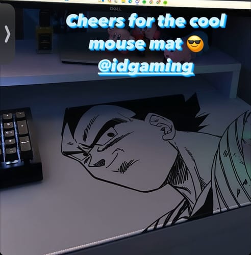 Customer photo review of Saiyan Prince