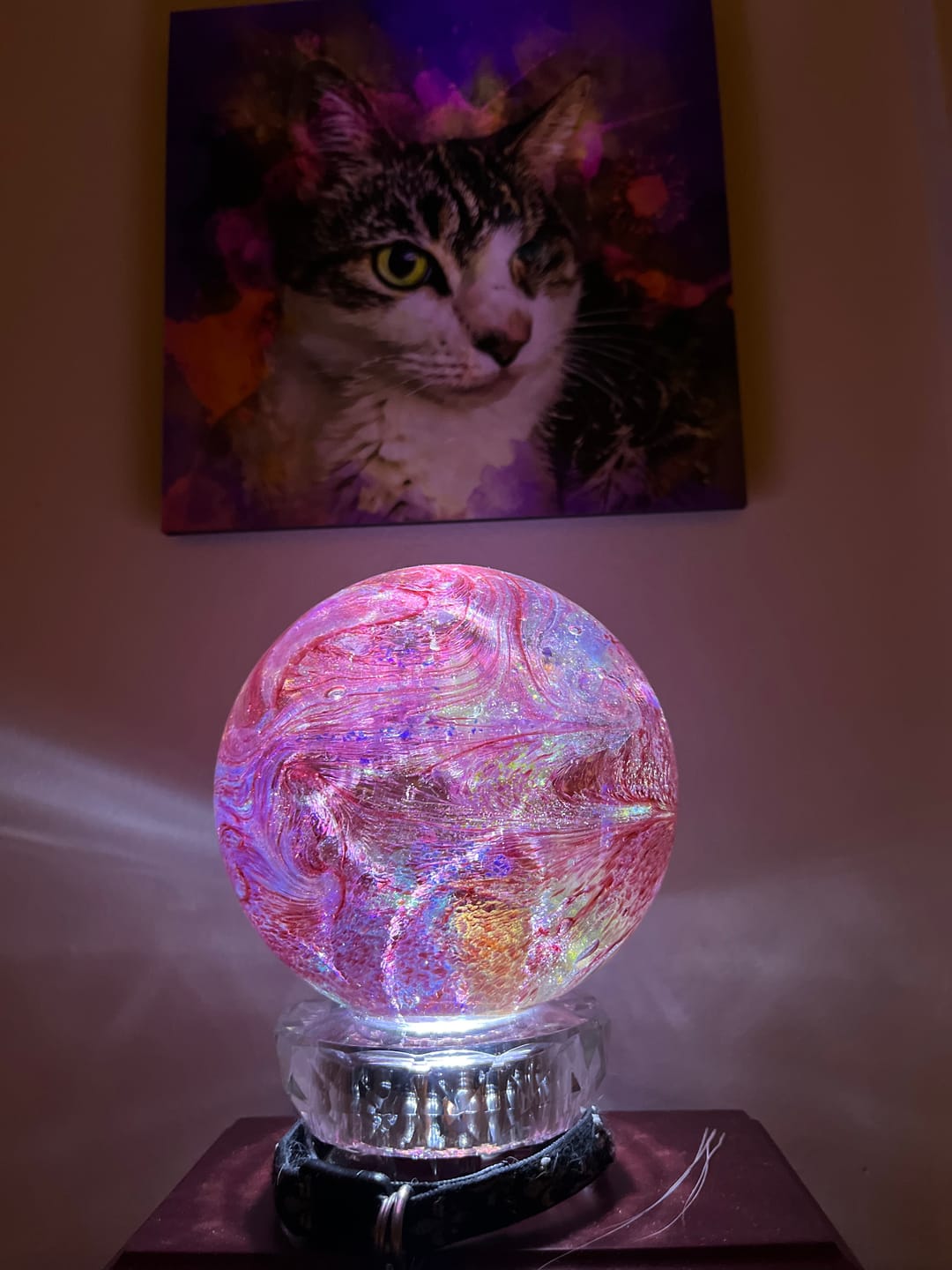 Customer photo review of Lucite Light Stand - White Light