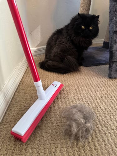 Customer photo review of Indigo Pet Hair Removal Broom