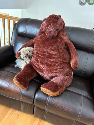 Customer photo review of SKOGGY BEAR