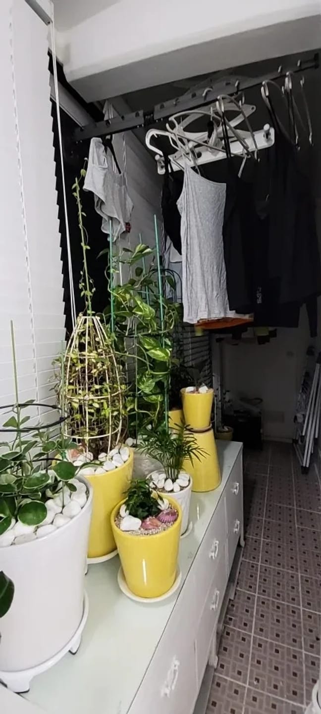 Customer photo review of Flowi™ Suction Clothes Hanger
