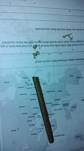Customer photo review of Blunts Caviar Sauce Crunch Berries Hybrid Torch THC-A Infused Pre Rolls 4.4g 2 Count