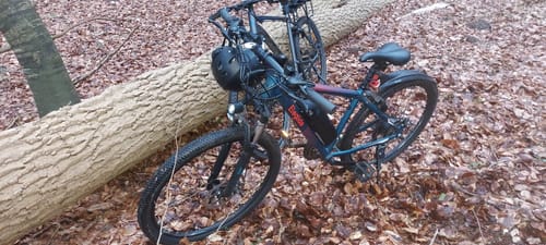 Customer photo review of Electric Mountain Bike M1