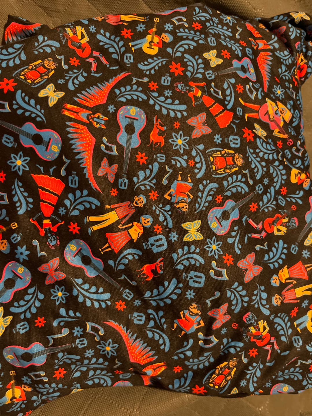 Customer photo review of Disney and Pixar Coco "Music In Me" – Performance Hoodie