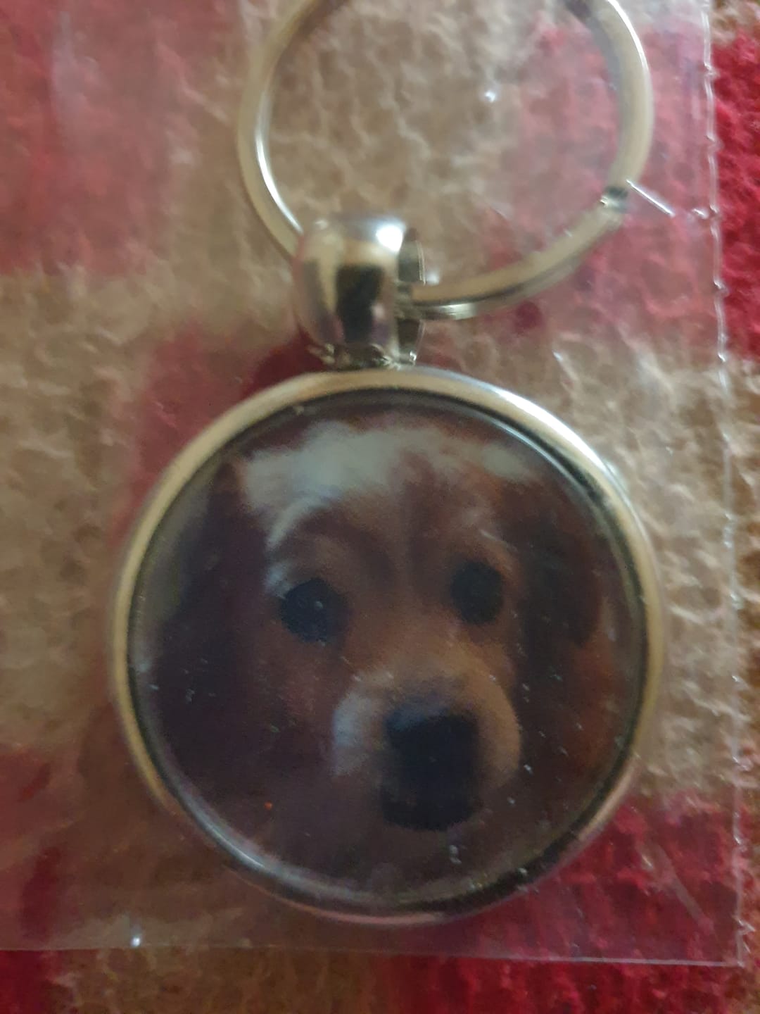 Customer photo review of Schlüsselanhänger-Bundle Rund 3x dein Foto für nur 19,90 €