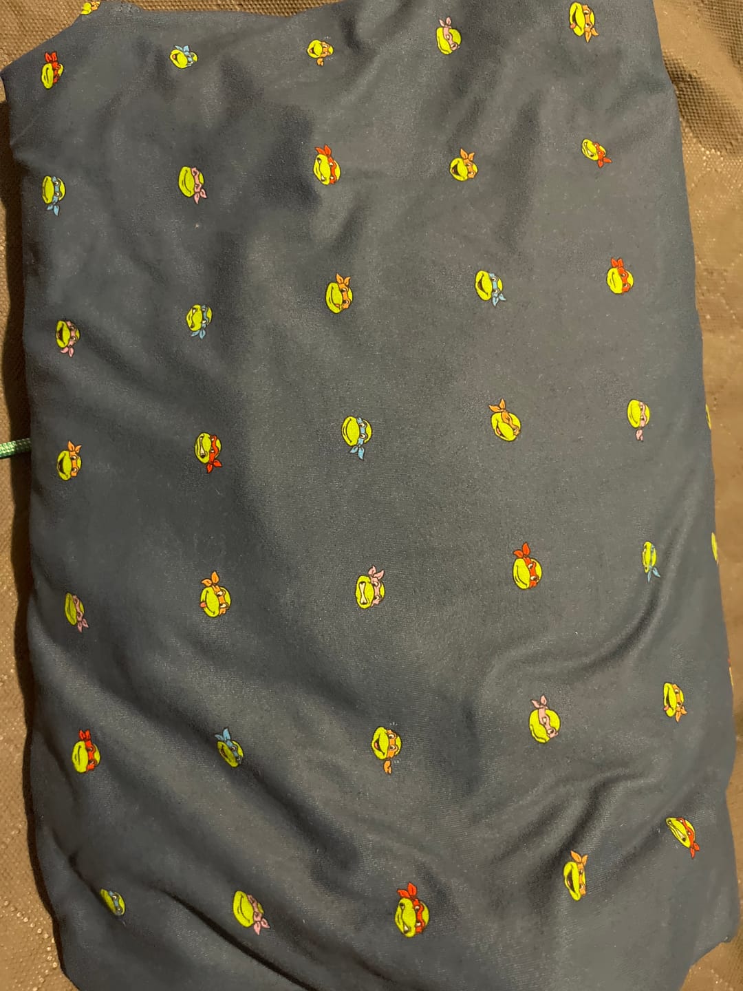 Customer photo review of Teenage Mutant Ninja Turtles "Lil Turts" – Performance Hoodie