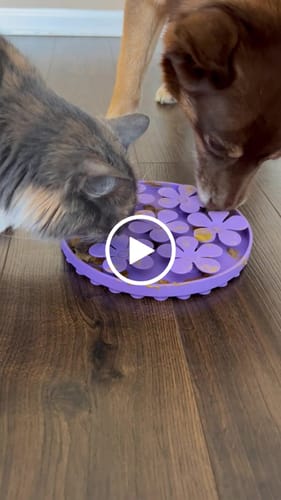 Customer video review of Slow Feeder - Lick Pad Combo