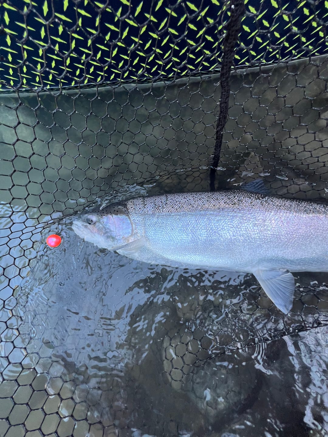 Customer photo review of Soft Beads - Hyper Blue