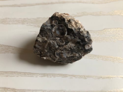 Customer photo review of Rough Turritella Agate for Inner Guidance