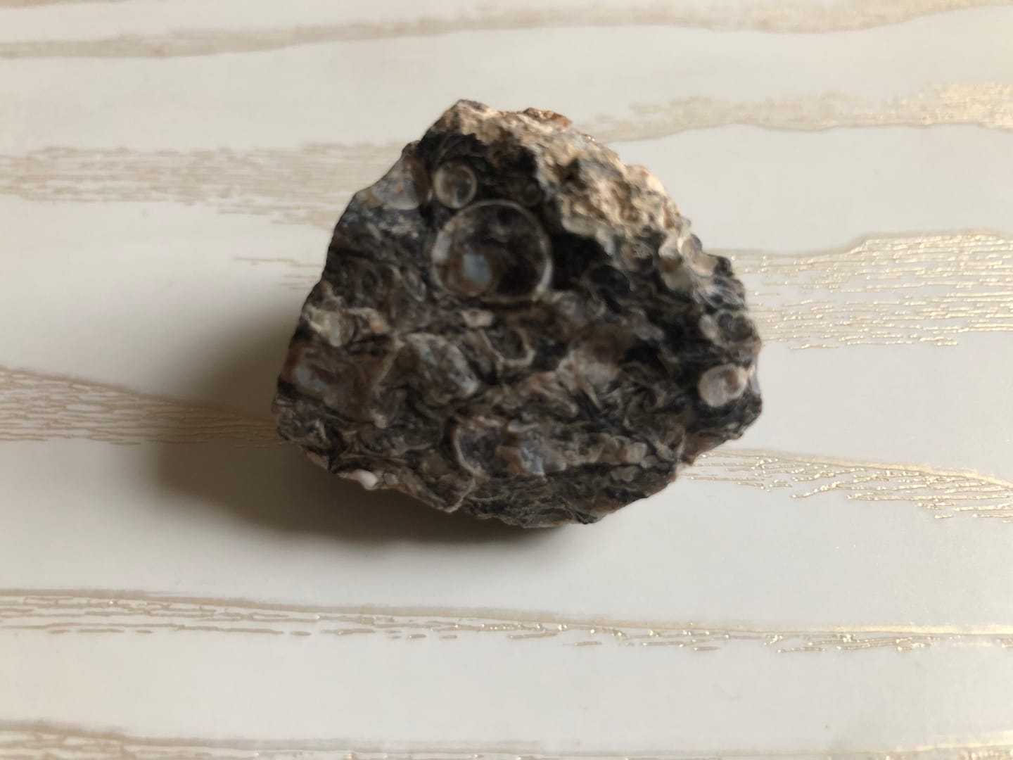 Customer photo review of Rough Turritella Agate for Inner Guidance