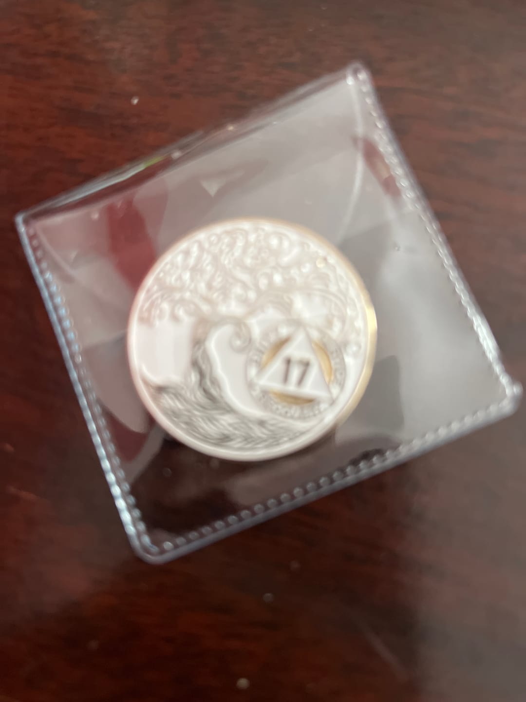 Customer photo review of 1 to 50 Year Sobriety Mint Twisted Tree of Life Gold Plated AA Recovery Medallion/Chip/Coin - White