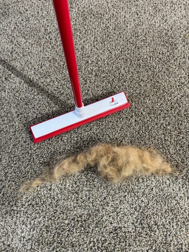 Customer photo review of Indigo Pet Hair Removal Broom
